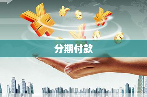 公安分期付款