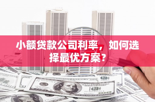 公安小额贷款公司利率，如何选择最优方案？