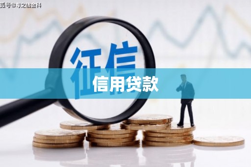 公安信用贷款
