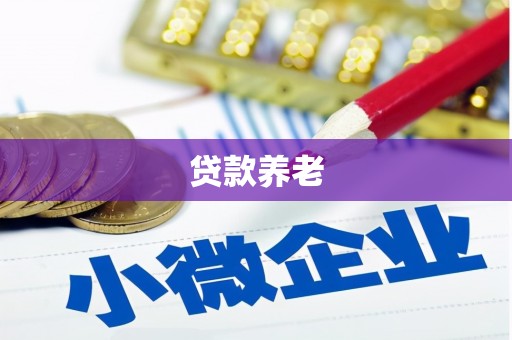 公安贷款养老
