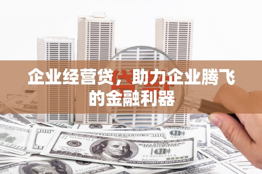 公安企业经营贷，助力企业腾飞的金融利器