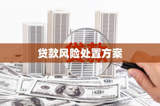 公安贷款风险处置方案