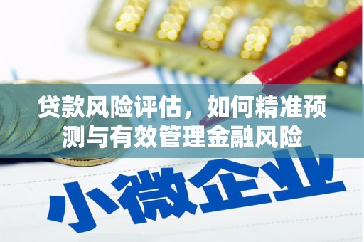 公安贷款风险评估，如何精准预测与有效管理金融风险