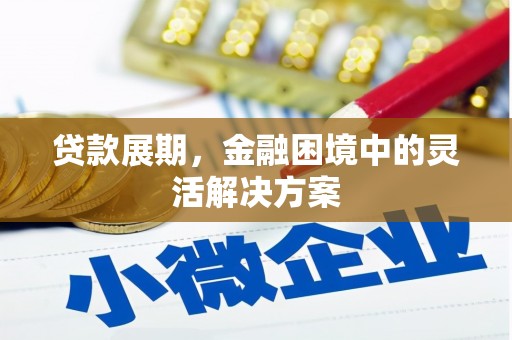 公安贷款展期，金融困境中的灵活解决方案