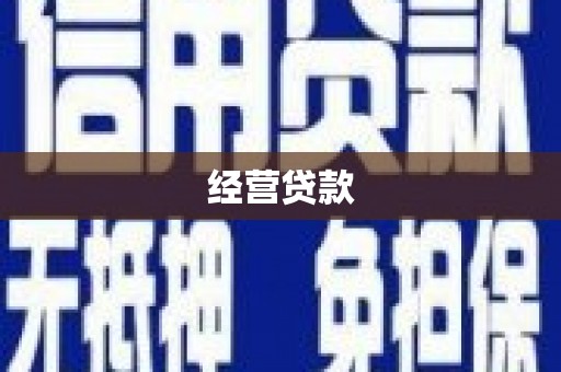 公安经营贷款
