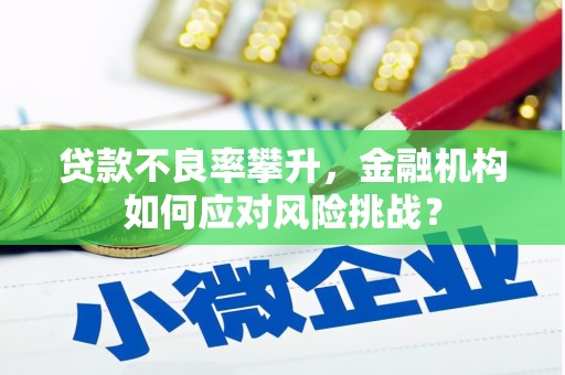 公安贷款不良率攀升，金融机构如何应对风险挑战？