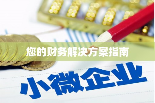公安您的财务解决方案指南