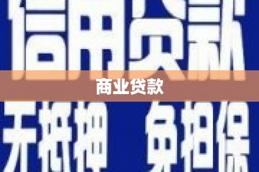 公安商业贷款