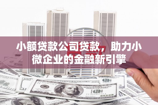 公安小额贷款公司贷款，助力小微企业的金融新引擎