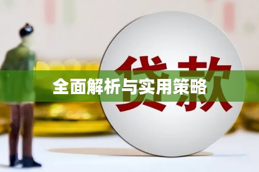 公安全面解析与实用策略