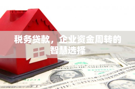公安税务贷款，企业资金周转的智慧选择
