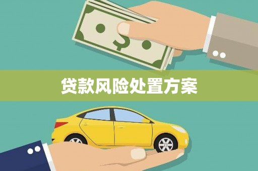 公安贷款风险处置方案