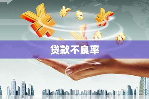公安贷款不良率