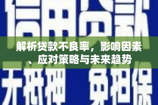 公安解析贷款不良率，影响因素、应对策略与未来趋势