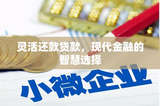 公安灵活还款贷款，现代金融的智慧选择