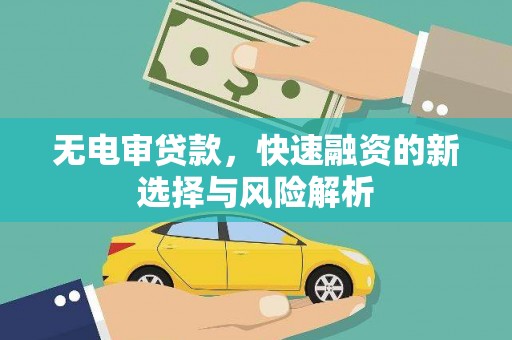 公安无电审贷款，快速融资的新选择与风险解析