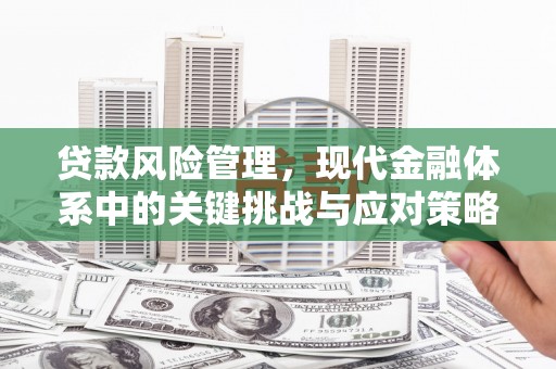 公安贷款风险管理，现代金融体系中的关键挑战与应对策略