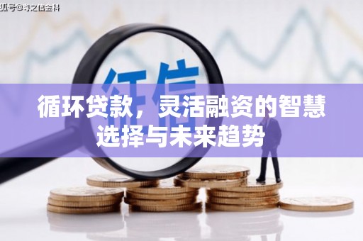 公安循环贷款，灵活融资的智慧选择与未来趋势