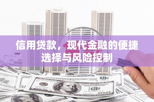 公安信用贷款，现代金融的便捷选择与风险控制