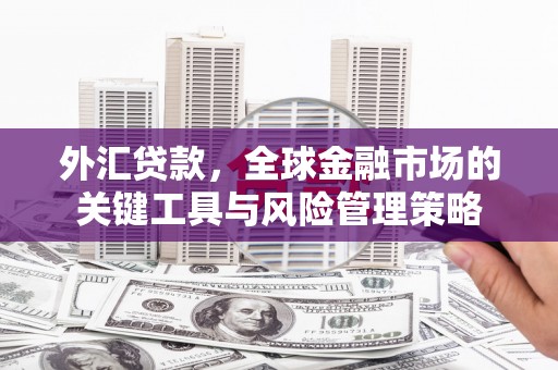 公安外汇贷款，全球金融市场的关键工具与风险管理策略