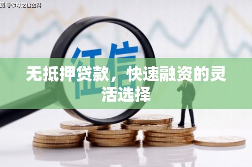公安无抵押贷款，快速融资的灵活选择