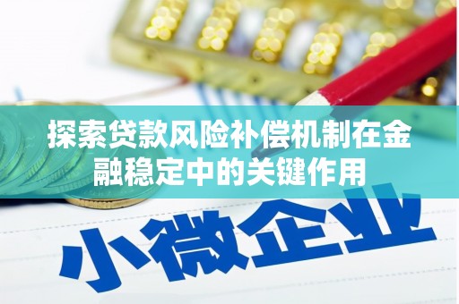 公安探索贷款风险补偿机制在金融稳定中的关键作用