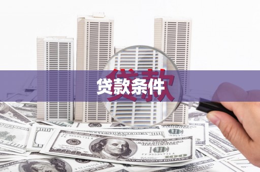 公安贷款条件