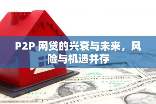 公安P2P 网贷的兴衰与未来，风险与机遇并存