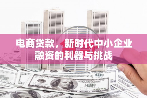 公安电商贷款，新时代中小企业融资的利器与挑战