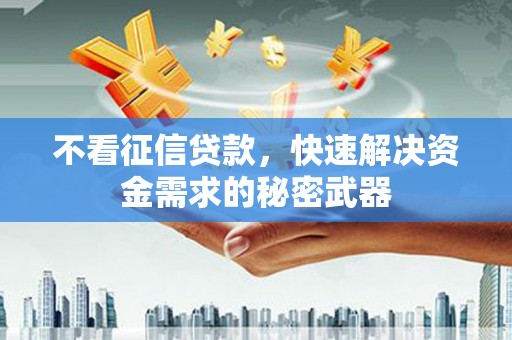 公安不看征信贷款，快速解决资金需求的秘密武器