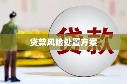 公安贷款风险处置方案