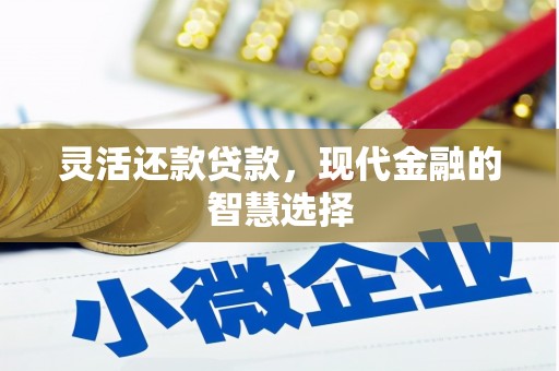 公安灵活还款贷款，现代金融的智慧选择