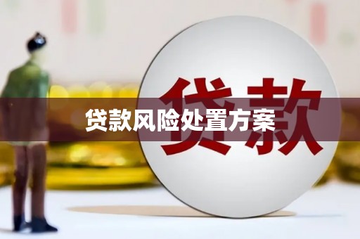 公安贷款风险处置方案