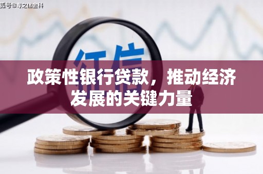 公安政策性银行贷款，推动经济发展的关键力量