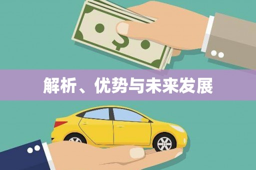 公安解析、优势与未来发展