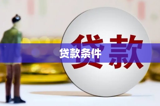 公安贷款条件