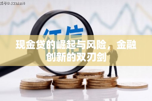 公安现金贷的崛起与风险，金融创新的双刃剑