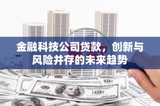 公安金融科技公司贷款，创新与风险并存的未来趋势