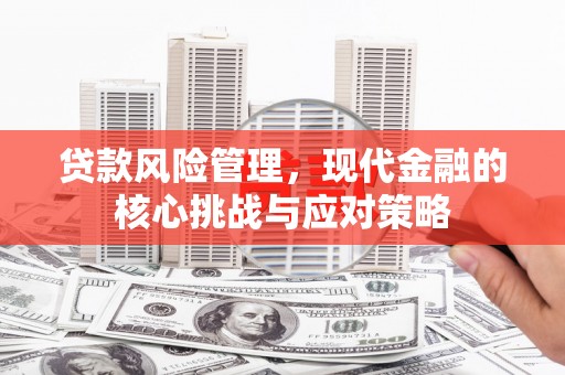 公安贷款风险管理，现代金融的核心挑战与应对策略
