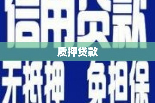 公安质押贷款