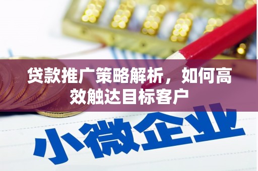 公安贷款推广策略解析，如何高效触达目标客户