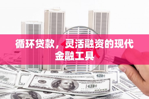 公安循环贷款，灵活融资的现代金融工具