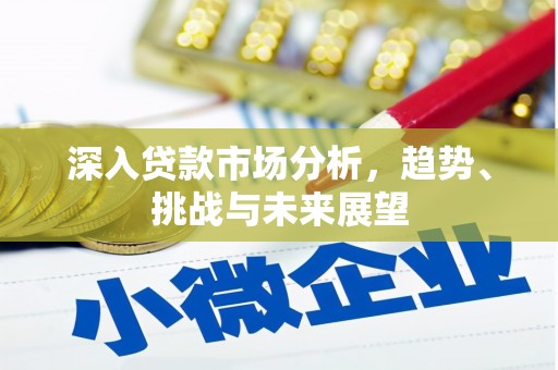 公安深入贷款市场分析，趋势、挑战与未来展望