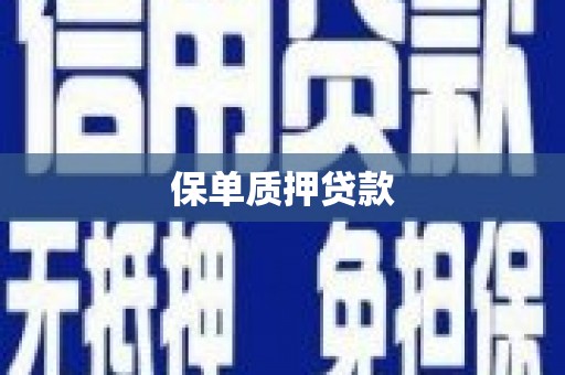 公安保单质押贷款