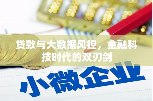 公安贷款与大数据风控，金融科技时代的双刃剑