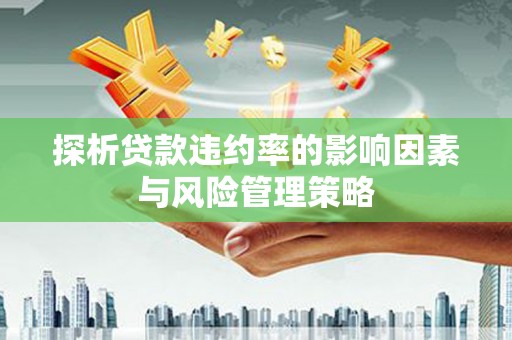 公安探析贷款违约率的影响因素与风险管理策略