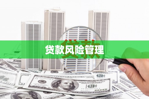 公安贷款风险管理