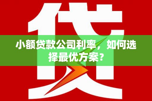 公安小额贷款公司利率，如何选择最优方案？