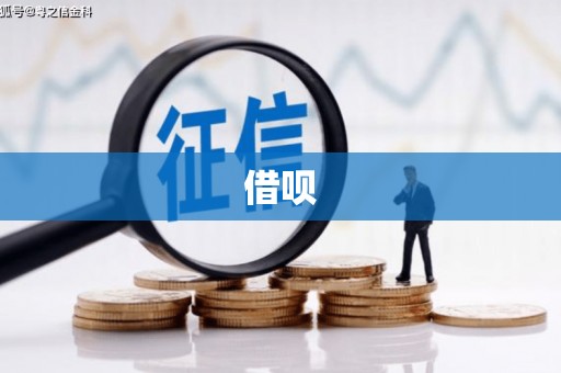 公安借呗