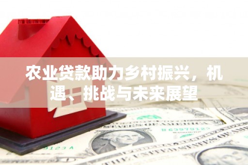 公安农业贷款助力乡村振兴，机遇、挑战与未来展望
